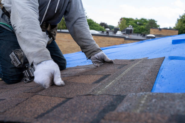 Gutter Installation and Roofing in Little Cypress, TX