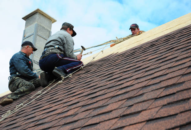 Best Metal Roofing Contractor  in Little Cypress, TX